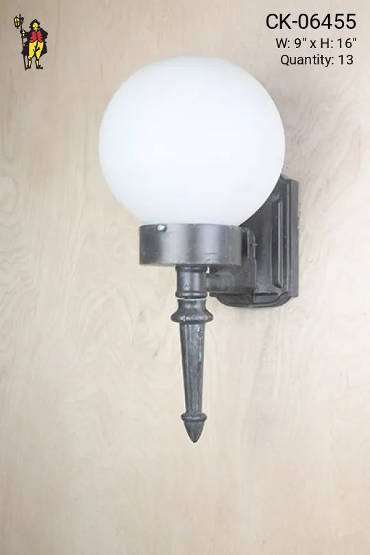 Black Single Light Globe Wall Sconce