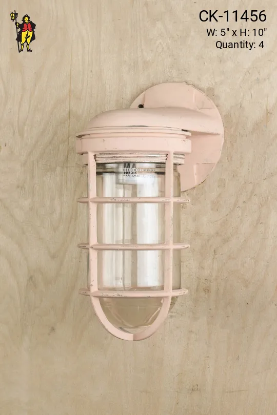 Painted Pink Wall Mounted Vapor Light