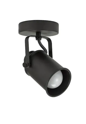 Dark Bronze Ceiling/Wall Mounted Adjustable Spot/Museum Light