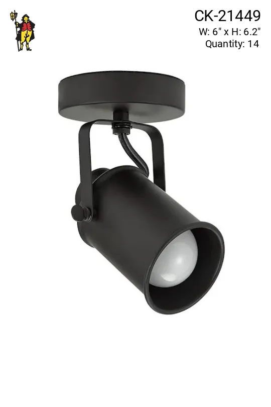 Dark Bronze Ceiling/Wall Mounted Adjustable Spot/Museum Light