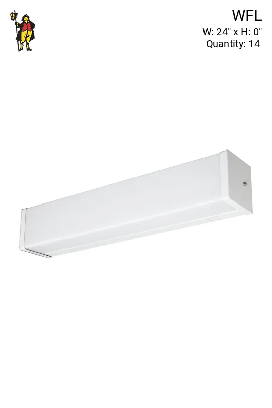 Two Foot Fluorescent Hanging/Wall Mount Fixture