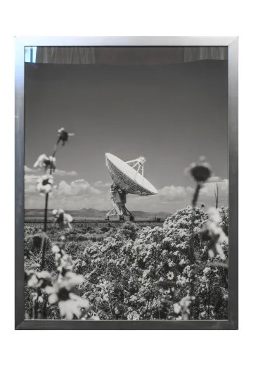 Nickel Framed Cleared Black & White Satellite Flowers Photograph