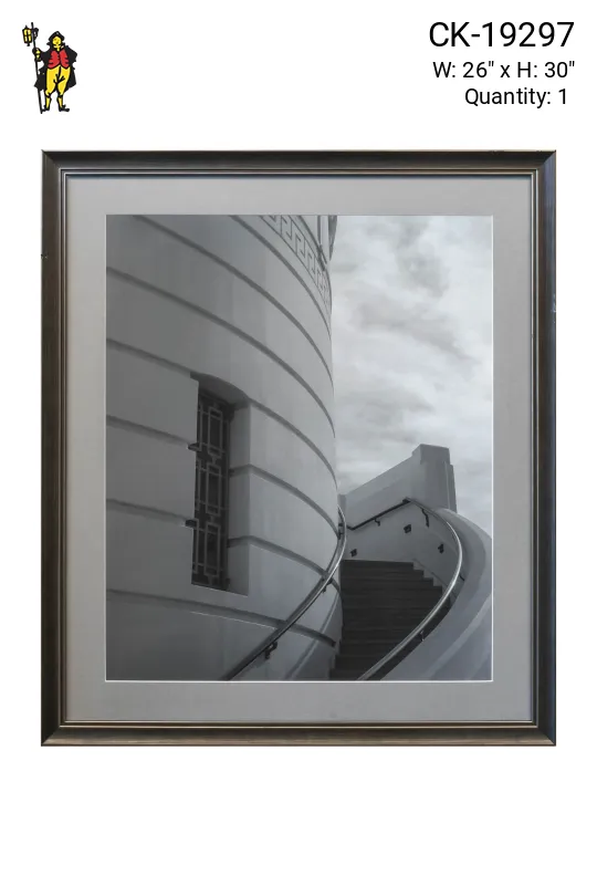 Framed Cleared Black & White Rounded Architecture Photograph