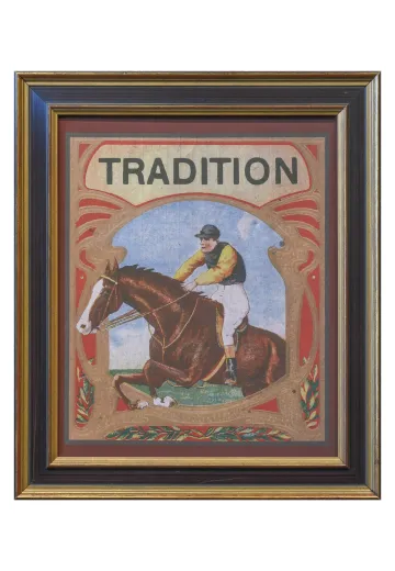 Framed Cleared Engraved Racehorse Illustration