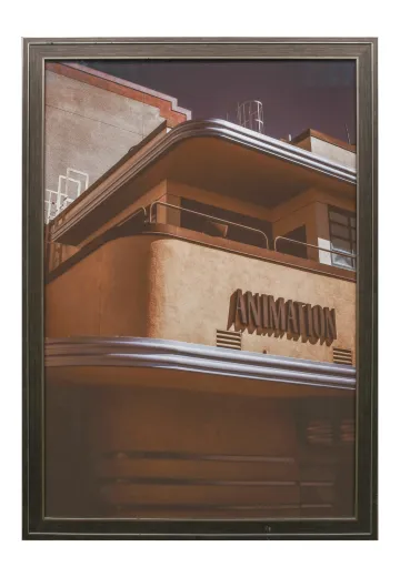 Framed Cleared Architecture Photograph