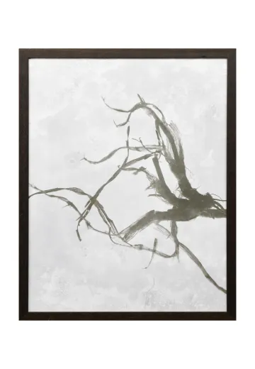 Framed Cleared Tintype Style Botanical Photograph - 2