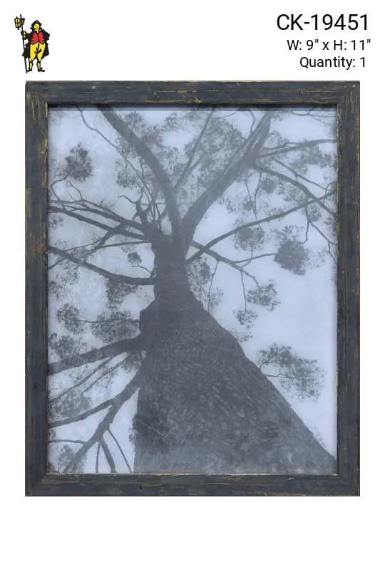 Framed Cleared Black & White Minimalist Photograph