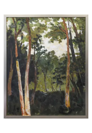 Nickel Framed Cleared Wrightwood Trees