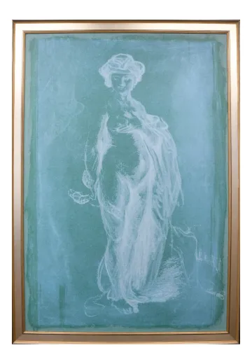 Framed Cleared Female Figure Illustration - 1
