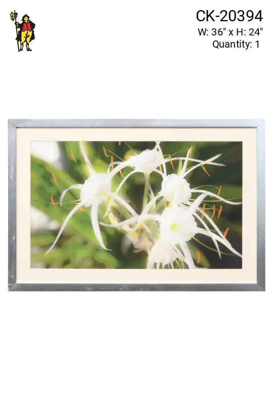 Nickel Framed Cleared "Trumet Flower" Photograph