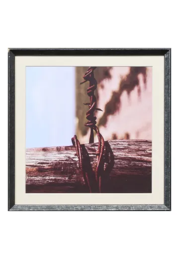 Framed Cleared Macro Desert Photograph