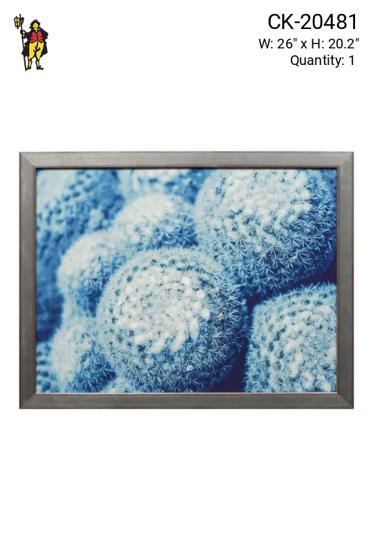 Framed Cleared Macro Cacti Photograph -  1