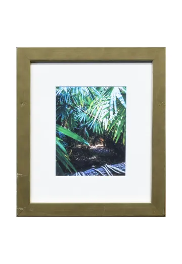 Framed Cleared Bamboo Photograph - 4