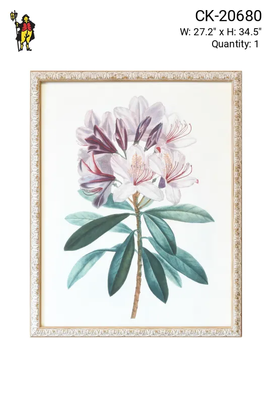 Framed Cleared Botanical Illustration