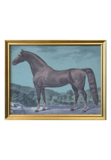 Framed Cleared Horse Lithograph