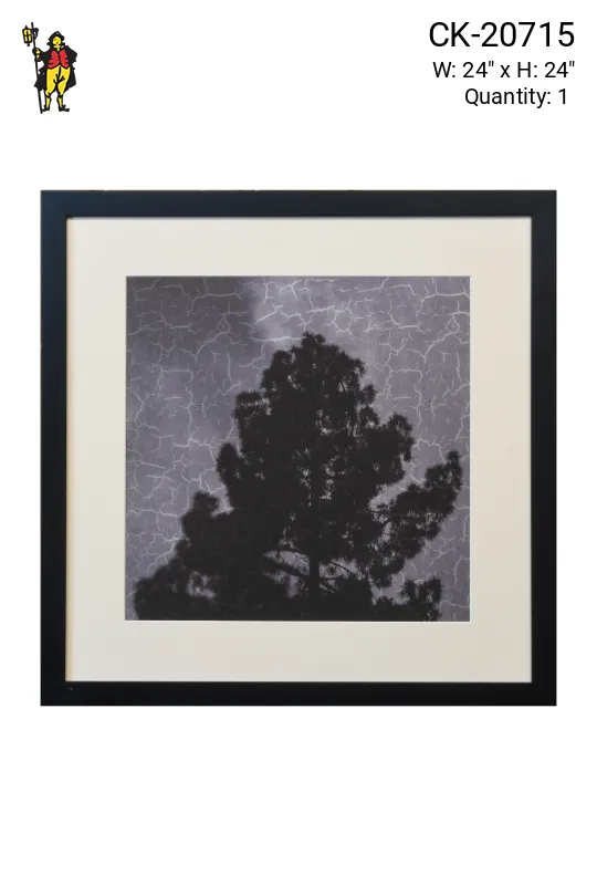 Framed Cleared Minimalist Tree Silhouette Photograph - 1