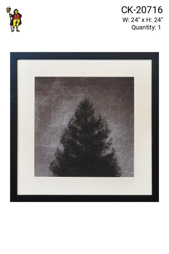 Framed Cleared Minimalist Tree Silhouette Photograph - 2
