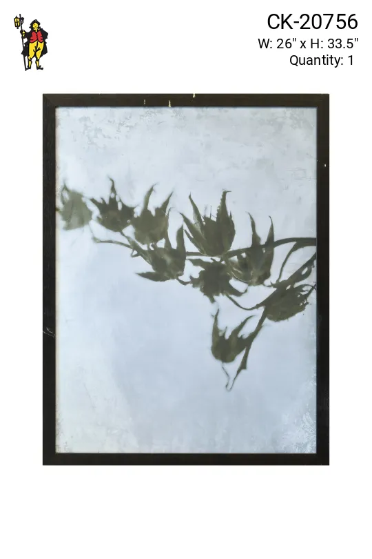 Framed Cleared Minimalist Cyanotype Photograph