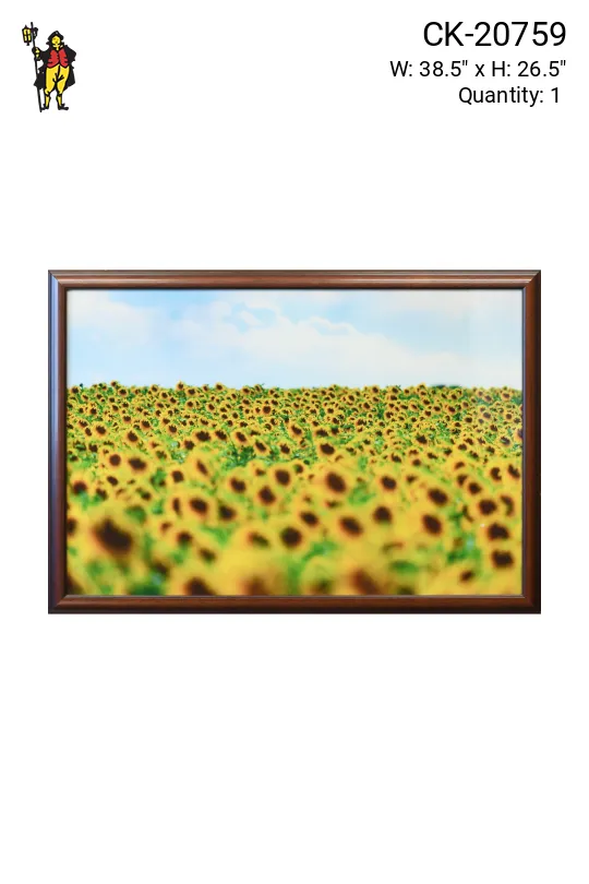 Framed Cleared Vast Sunflower Field Photograph