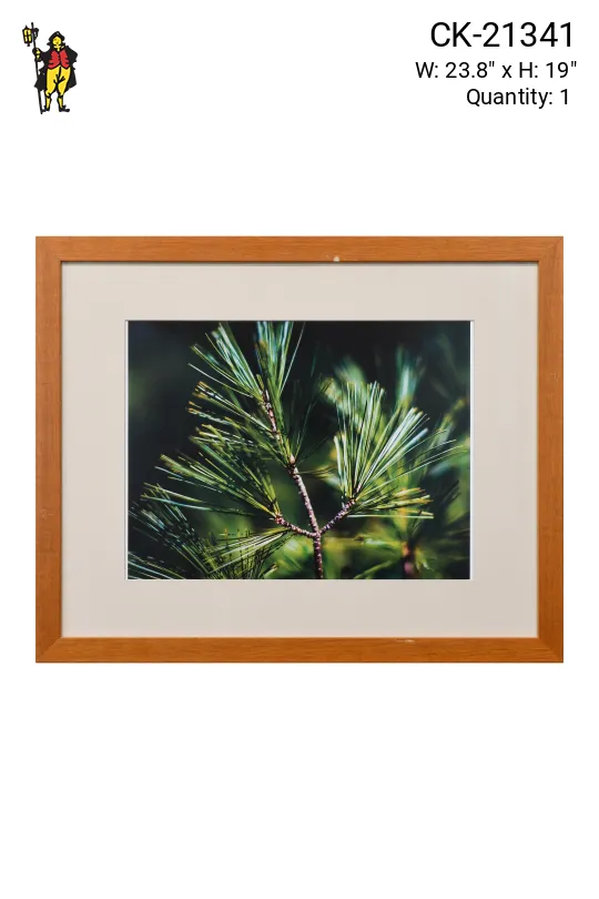 Framed Cleared Tree Branch Macro Photograph