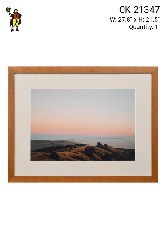 Framed Cleared "SF Sunset Hills" Photograph