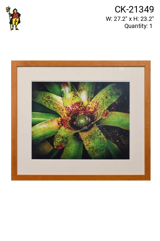 Framed Cleared "Macro Plant" Photograph