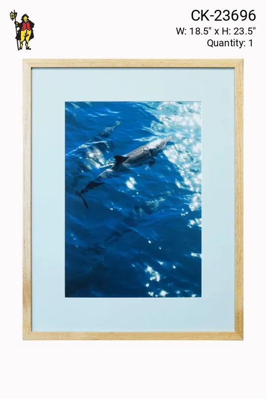 Framed Cleared Dolphin Ocean Photograph