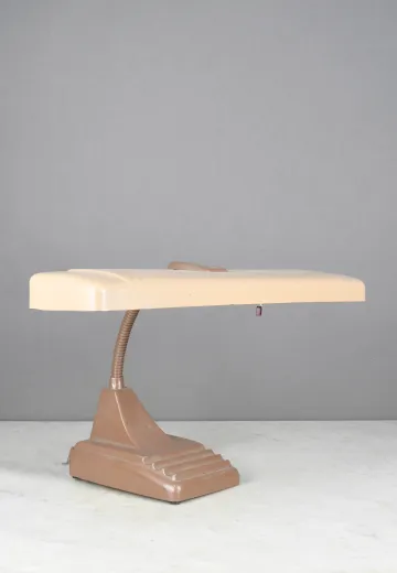 Metal Shaded Gooseneck Desk Lamp