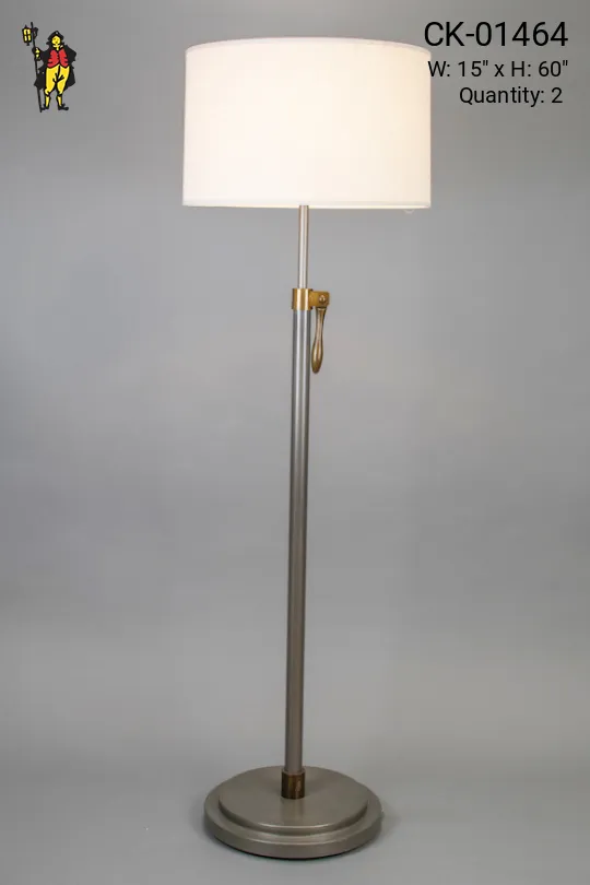 Adjustable Matte Nickel & Brass Floor Lamp