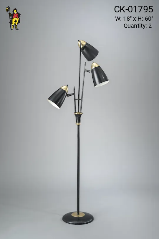 Three Light Black Floor Lamp w/Bullet Reflectors