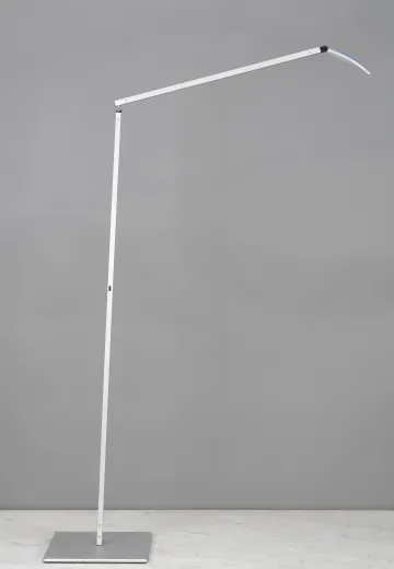Adjustable LED Floor Lamp