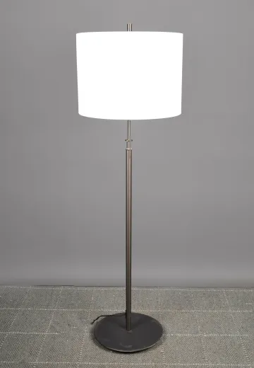 Bronze Finished Floor Lamp