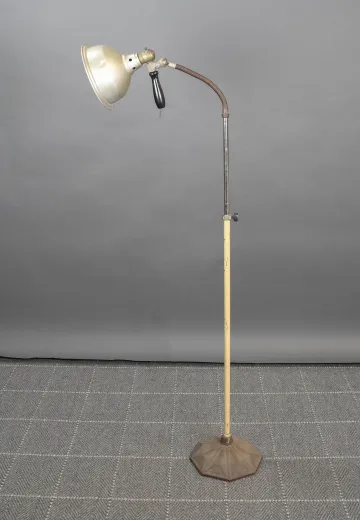 Industrial Gooseneck Floor Lamp w/Detachable Spotlight