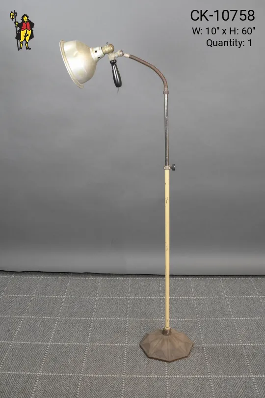 Industrial Gooseneck Floor Lamp w/Detachable Spotlight