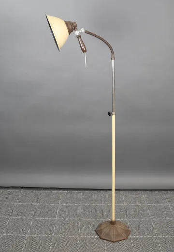 Industrial Gooseneck Floor Lamp w/Detachable Spotlight