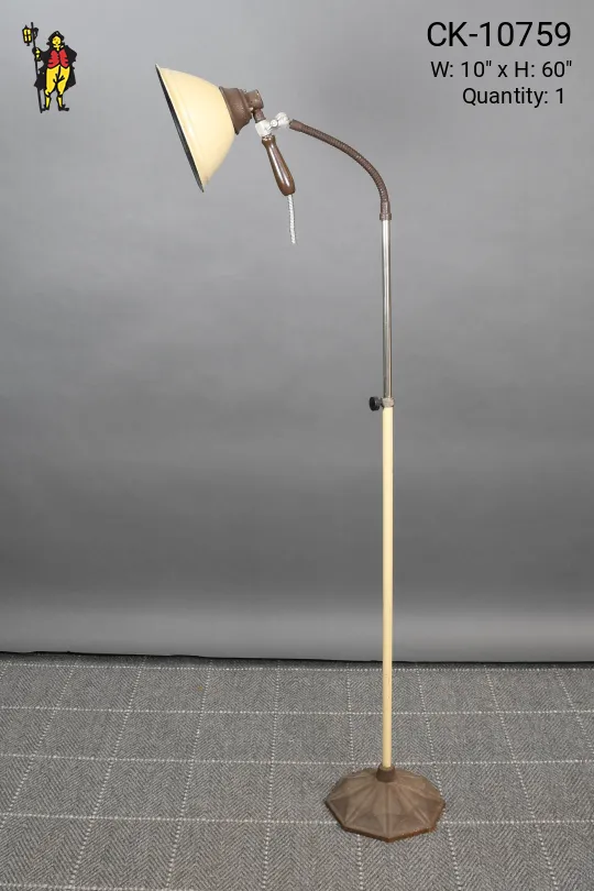 Industrial Gooseneck Floor Lamp w/Detachable Spotlight