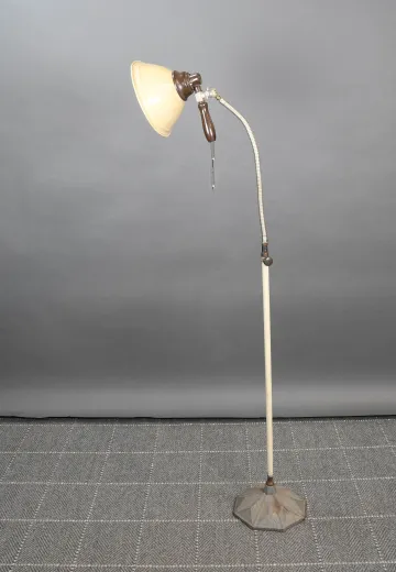 Industrial Gooseneck Floor Lamp w/Detachable Spotlight