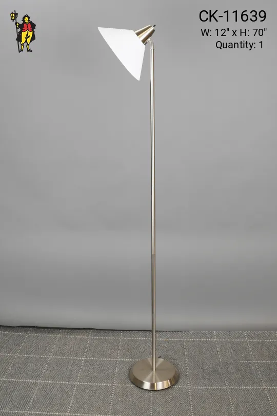 Modern Directional Floor Lamp