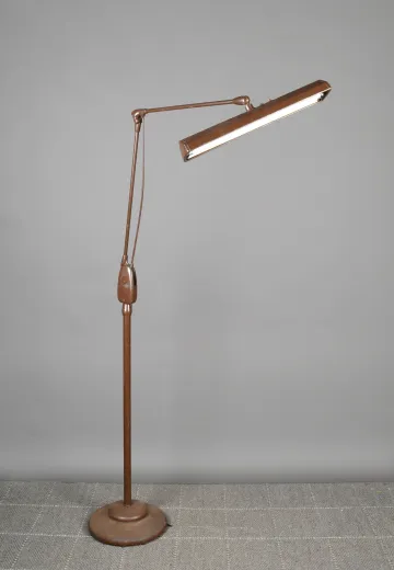 Adjustable Fluorescent Floor Lamp