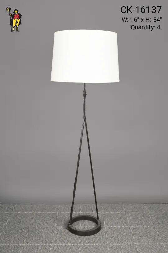 Modern Iron Floor Lamp
