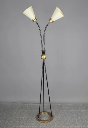 Black Two Light Gooseneck Mid Century Floor Lamp