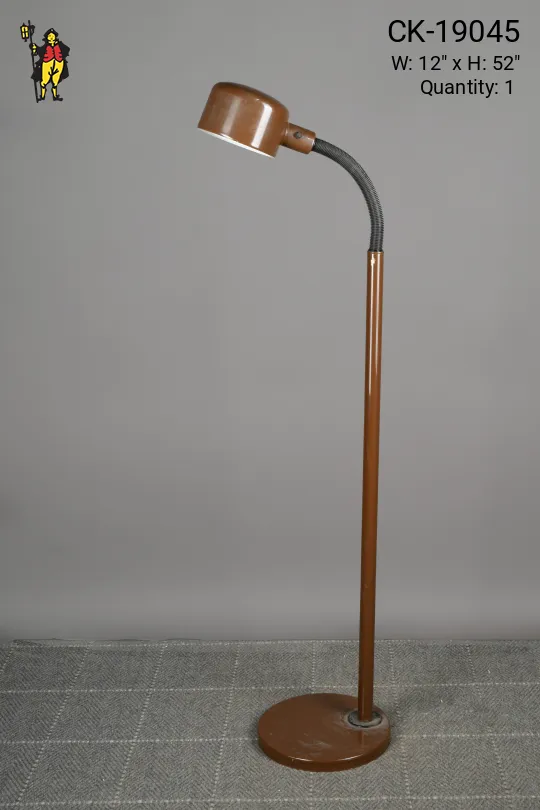Brown Gooseneck Post Modern Floor Lamp
