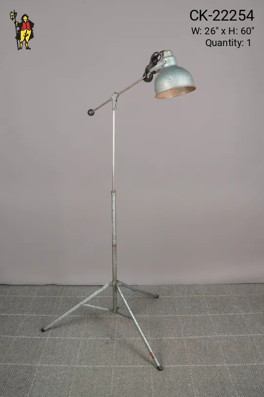 Metal Shaded Adjustable Industrial Floor Lamp