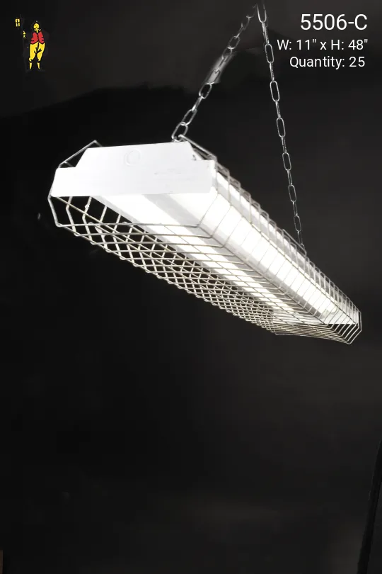 4' Two Bulb Wrap Around Cage Fluorescent (Available as Hanging or Flush Mount)