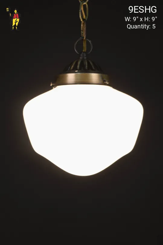 9" Elongated Hanging School House Globe