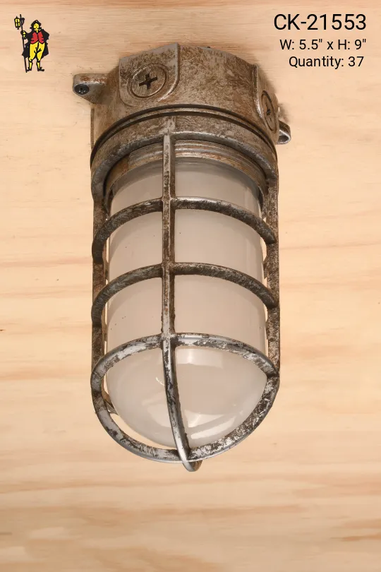 Distressed Metal Caged Vapor Proof Ceiling Mount Fixture