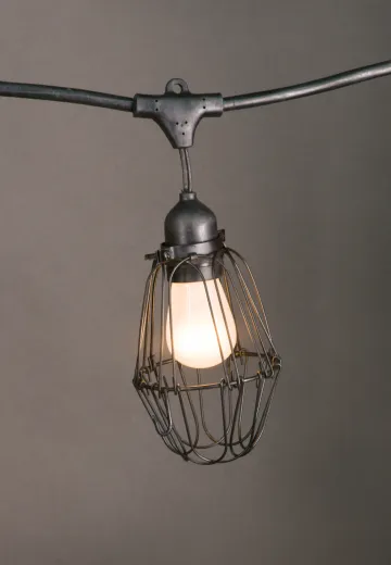 50' Black Carnival Light w/Black Metal Cages & Frosted Bulb