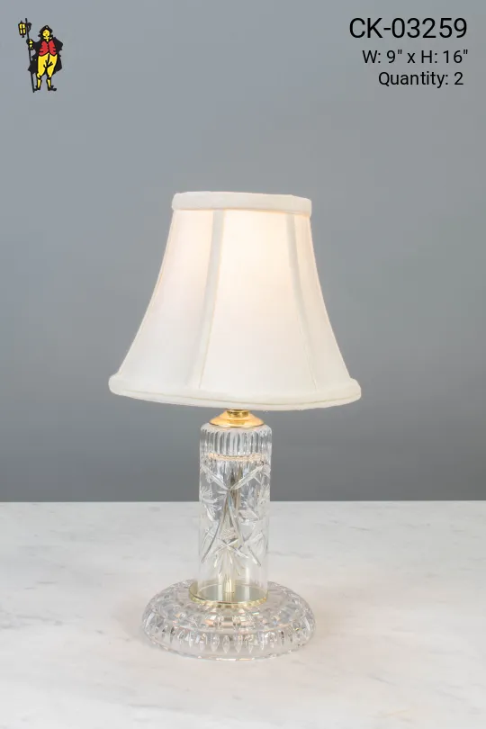 Small Etched Glass Table Lamp