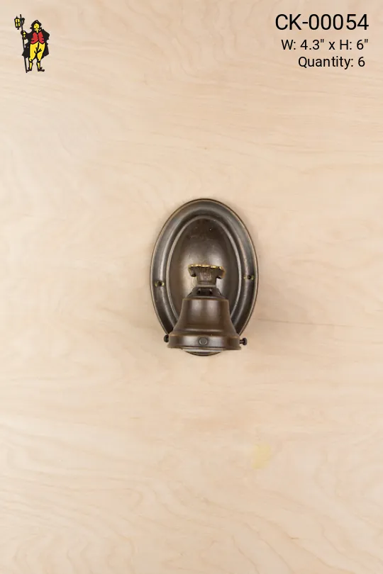 Bronze Finished Down Light