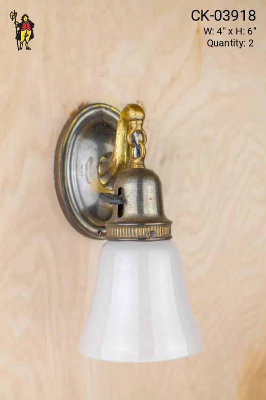 Hanging Single Light Wall Sconce w/Frosted Glass Shade
